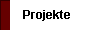 Projekte